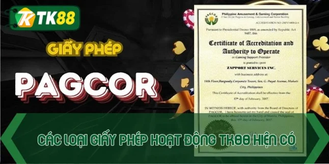 Các loại giấy phép hoạt động TK88 hiện có